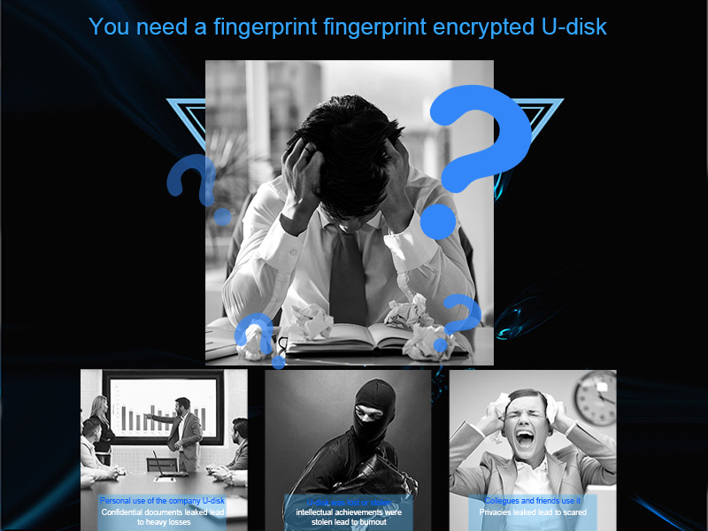 Fingerprint USB flash drive